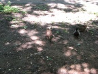 2006 07 25