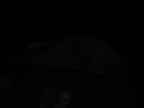 2008 06 14