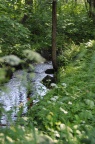 DSC 9889